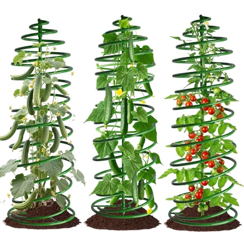 AMAGABELI Garden & Home 3 Pack Tomato Cages for Garden Plant Support 42" Stakes Metal Tower for Climbing Plants Vegetables Potted Plants Tomatoes Pea Bean Cucumber Flowers Outdoor - color: 3 Pack, size: 13.6" W x 42" H