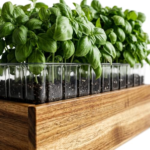 zaqro 17” Wooden Planter Boxes Set of 2 - Acacia Herb Planter Indoor
