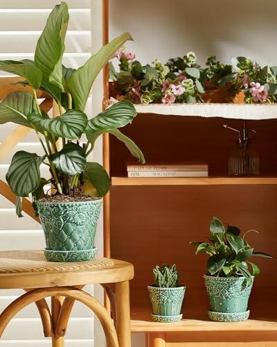 Metahom 3.8 Inch Succulent Pots, Green Ceramic Pots for Plants Set of 4 - color: Green, size: 3.8 Inch