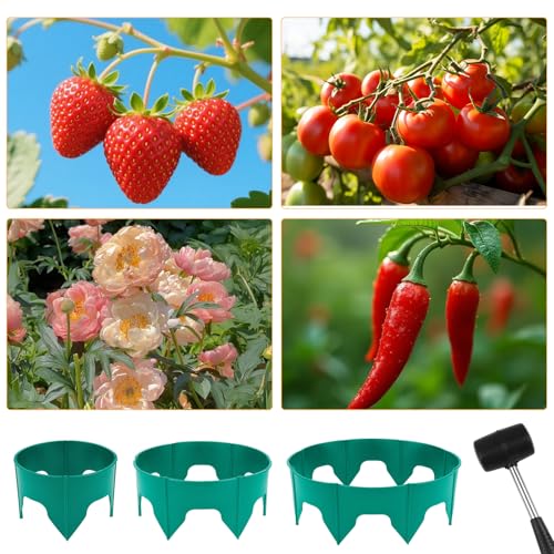AggFencer 24 PCS Planting Grow Rings for Outdoor Plants with Hammer, Green - color: Green