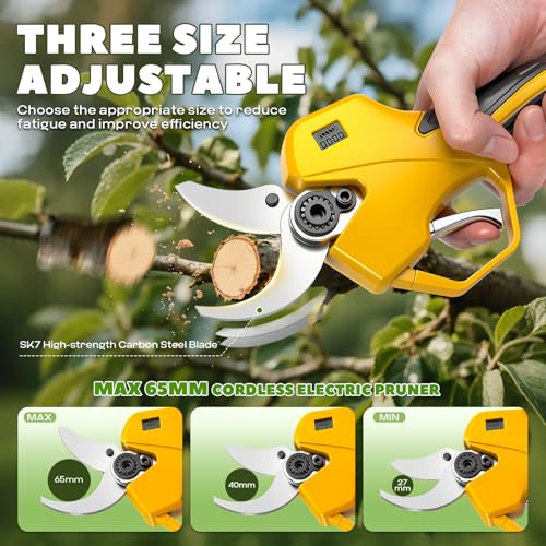 4-in-1 Cordless Pruner Kit, 2.5" Cut & 15 ft Pole Chainsaw