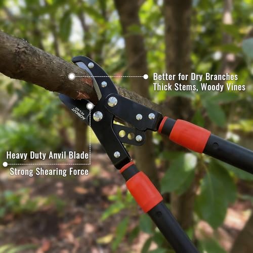 AGRICUT Telescopic Garden Loppers Anvil - Extendable Tree Trimmer 26" to 40.5" Reach, 2" Cut Capacity Heavy Duty Branch Cutter with 59HRC High Carbon Steel Teflon Blade, Loppers for Cutting Branches - style: Lopper (Extendable)