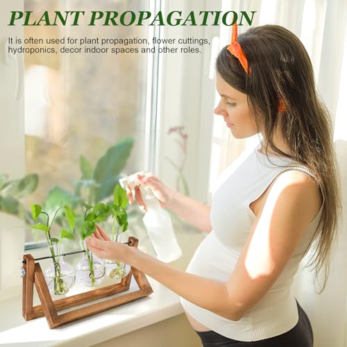 Renmxj Plant Propagation Station, Plant Terrarium with Wooden Stand - size: 3 Bulb Vase