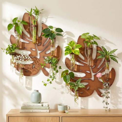 2 Pack Monstera Hanging Wall Planter, Plant Propagation Station - size: 2 Pack
