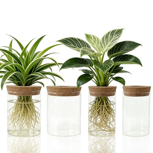 4 Pack Glass Plant Propagation Station,Desktop Vases for Home Office Decor