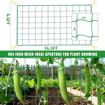 6.6x9.9FT Trellis Netting for Climbing Plants,Trellis Netting with Plant Clips, Heavy-Duty PE Trellis Net for Cucumber, Tomato, Vegetables, Fruits, Sweet Pea Plants - size: 6.6x9.9FT