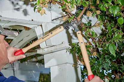 Corona WL 6310 ClassicCUT Bypass Vine Lopper, 20-Inch - size: 20-Inch