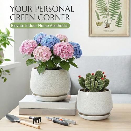7.5 Inch Flower pots for Indoor Outdoor Plants with Saucer Drainage Leak-Proof Mesh, Ceramic Planter with Gardening Gloves for Succulent and Flower(Matte White) - color: Matte White, size: 7.5 Inch