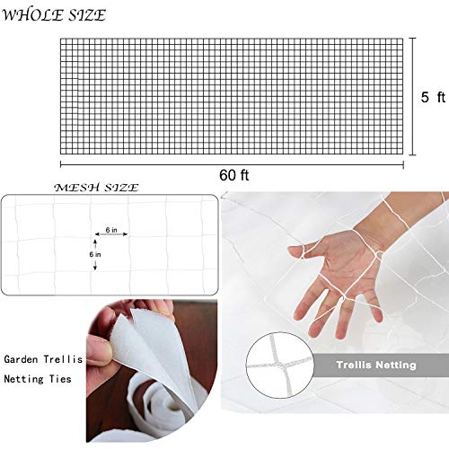 BaseGoal 6in Mesh Trellis Netting, 5x60ft, 1 Pack - size: 6" Mesh (5'X60')