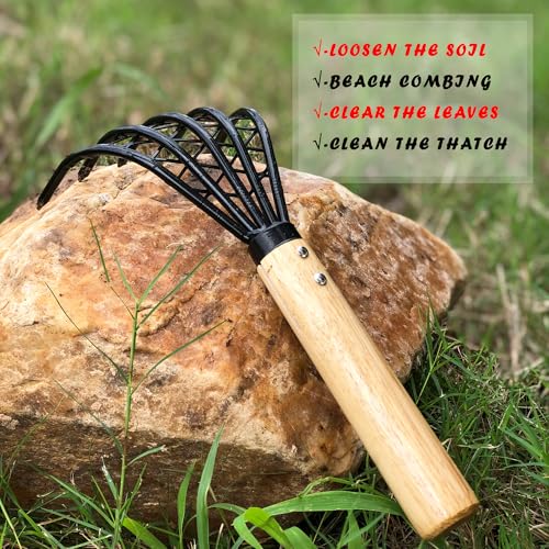 Garden Rake 5-Claw Landscape Dethatcher Thatching Beach Combing Rake for Digging Clam Shell Defoliation Hoe Garden Tool for Loosen The Soil (Brown) - color: Brown