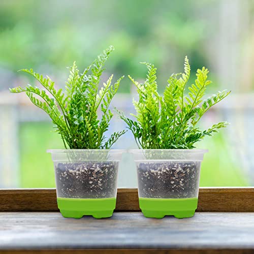 MIXC Clear Nursery Pots with Silicone Base, 4-Inch, 30-Pack - color: Green, size: 4 Inch