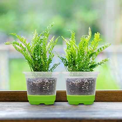 MIXC Clear Nursery Pots with Silicone Base, 4-Inch, 30-Pack - color: Green, size: 4 Inch
