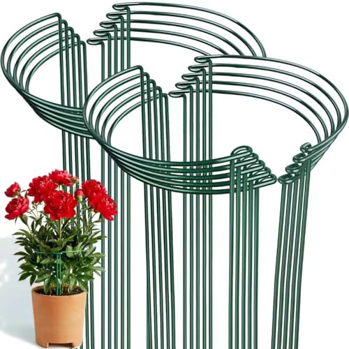 Thealyn 20 Pack Plant Support Stakes, 10" x 16" Peony Cages and Supports - size: 20Pack 10"x16"
