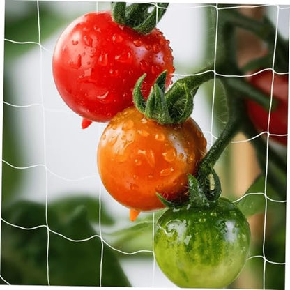 Garden Trellis Netting Roll 4x500ft 6inch Soft Mesh Nylon Heavy Duty Reinforced Garden Plant Support Trellis Net for Climbing Plants, Grape Racks, Growing Support Bean, Pea, Tomatoes,Vegetable - size: 4x500ft