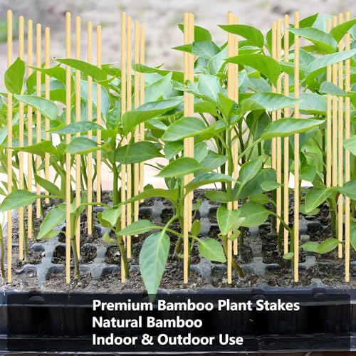 125Pcs 2.5ft/30in Bamboo Plant Stakes, Garden Stakes, Bamboo Stakes for Tomato, Beans, Potted Plants, Smores Sticks for Fire Pit, Natural Support for Gardening, BBQ, Camping, Home Cooking - size: 30in - Bamboo