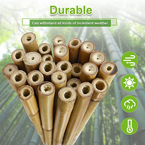 Jollybower 10pcs 1" D Thicker Heavy Duty Bamboo Stakes, 8FT Plant Stakes, Natural Garden Stakes for Tomato, Bean, Flowers,Trees Potted and Climbing Plant Support - size: 8Ft, Pack of 10