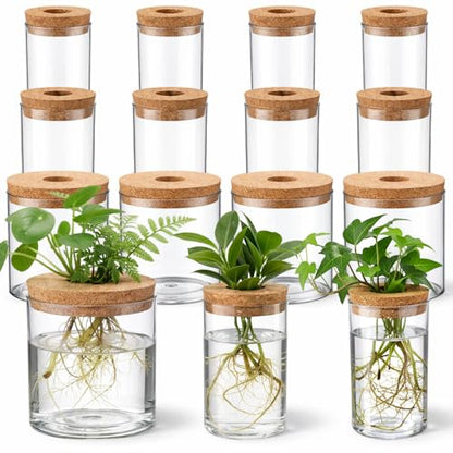12 Pack Plant Propagation Station with Hole Lid Plant Propagation Jars Plants Plastic Propagations Stations Planter Vase Hydroponic Vases for Home Desktop Office Decoration, 3 Sizes