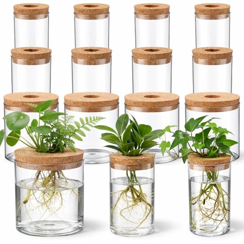 12 Pack Plant Propagation Station with Hole Lid Plant Propagation Jars Plants Plastic Propagations Stations Planter Vase Hydroponic Vases for Home Desktop Office Decoration, 3 Sizes