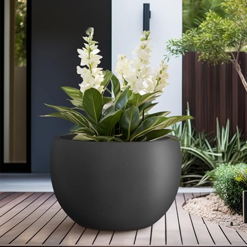 Kante Large Round Bowl Black Concrete Planter 20" Dia, Outdoor - color: Black, size: 19.9" d