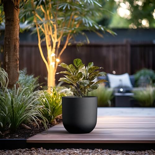 Kante Small Round Capsule Black Concrete Planter 11" Dia, Outdoor - color: Black, size: 11.0"Dia x 11.0"H