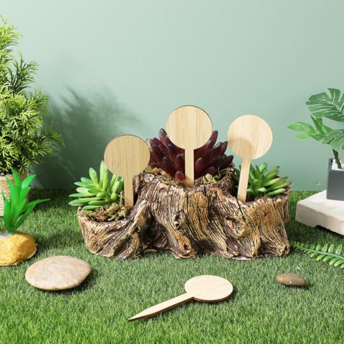 Toddmomy 20 Pcs Bamboo Plant Markers 3.9 Inch Round Garden Labels