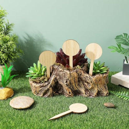Toddmomy 20 Pcs Bamboo Plant Markers 3.9 Inch Round Garden Labels