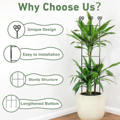 32in Large Indoor Plant Trellis for Climbing Plants, Expandable Metal Garden Trellis for Potted Plants, Tall Plant Supports for Ivy Pothos Hoya Monstera, 2p - size: 32in/2p