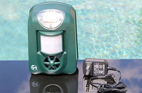 Cleanrth TSBR610 Advanced Sonic & Ultrasonic Bird Repeller