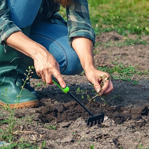 Garden Guru Hand Rake Cultivator Tiller Tool – Strong Carbon Steel for Ultimate Strength - Rust Resistant – Ergonomic Handle – Great for Gardening Cultivating Loosening Weeding Mulching (2 Pack) - size: 2 Pack