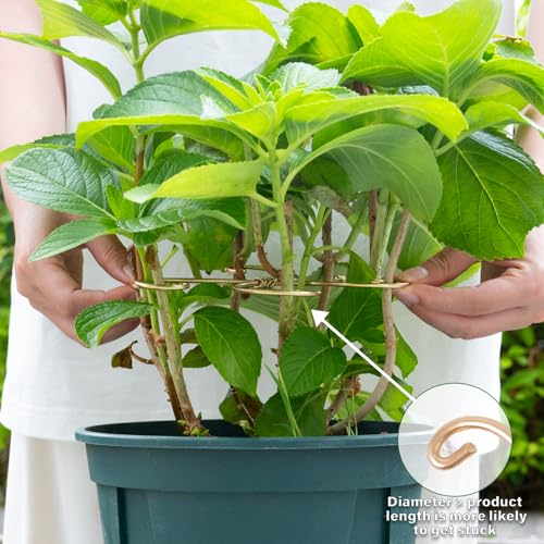 7.5In Monstera Plant Stem Support Hook Set-5PCS Metal stem Holder - size: 7.5 x 7.5 inches