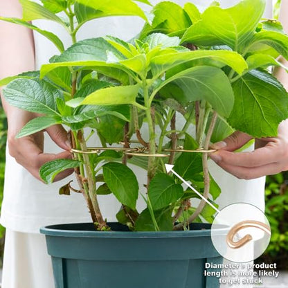 7.5In Monstera Plant Stem Support Hook Set-5PCS Metal stem Holder - size: 7.5 x 7.5 inches