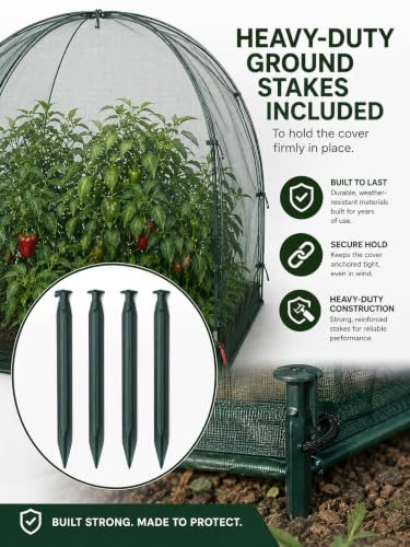 NuVue Products 25202 Pop-Up Garden Netting Animal and Bug Guard Covers with Ground Spikes, Mesh Plant Cover Tents for Pest and Animal Control, Pack of 2,Green, 28" x 28" x 30" - color: Green, size: 28" x 28" x 30"
