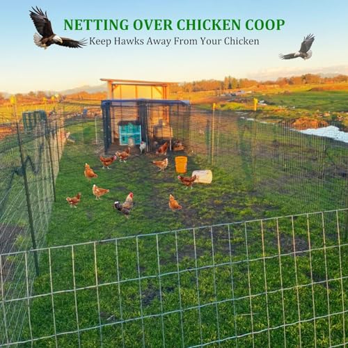 Bird Netting for Chicken Coop Run, 25x50 Ft Heavy Duty Poultry Netting - size: 2.4", 25' x 50'