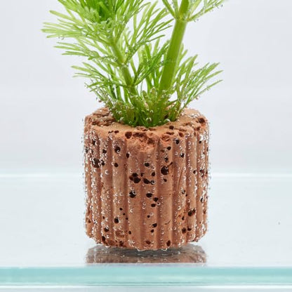 10-Pack 25mm Aquatic Plant Ring Base for Aquarium Pots