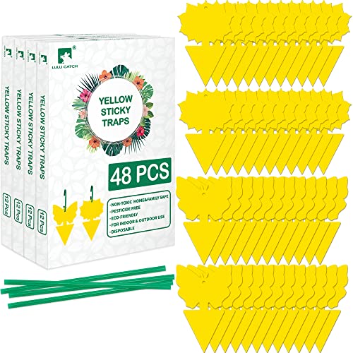 LULUCATCH Fruit Fly Sticky Trap 48 Pack, Safe Gnat Traps for Fruits, Plants, Super Sticky Fly Trap for Indoor, Outdoor, Kitchen, Insect Catcher for White Flies, Mosquitos, Fungus Gnats, Flying Insects - size: 48 Pack