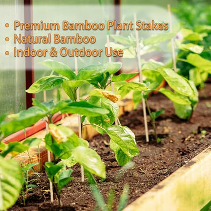 50PCS Bamboo Plant Stakes,18IN Natural Bamboo Sticks Garden StakesWith Ties - color: Burlywood, size: 18 Inch 50Pack