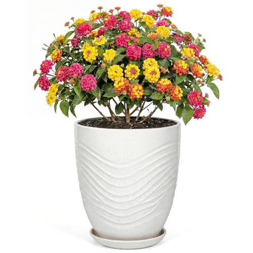 9.5 Inch Flower Pots for Indoor Plants,Ceramic Planter with Saucer Drainage Leak-Proof Mesh Gardening Gloves (Water-Ripple White) - color: Water-ripple White, size: 9.5 Inch