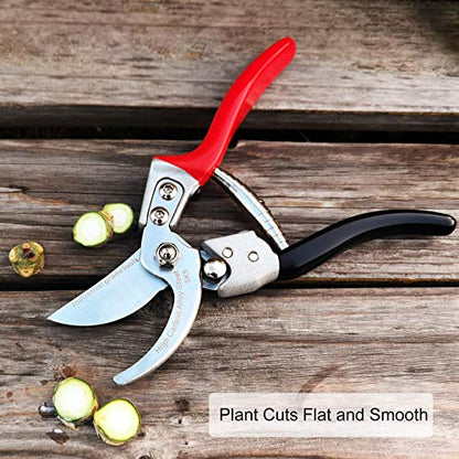 TONMA 8.2" Garden Shears, Made in Japan, Pruning Shears for Gardening, TP-2 - size: 8.2 inches