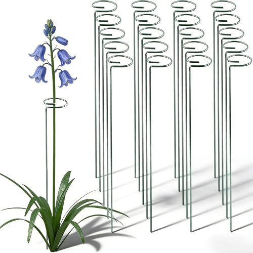 20 Pieces 36 inch Green Single Stem Plant Stakes Flower Support Rings, Gardening Planter Cages for Single Stem Flowers, Amaryllis, Peony, Lily,Narcissus Gladiolus Stakes - color: Green-36-inch 20pack