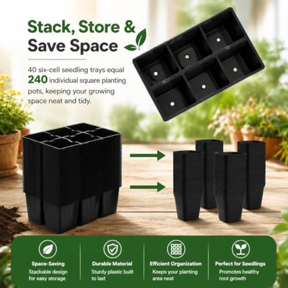 40 Pack 6-Cell Seed Starter Tray for Seedlings with Drainage Holes