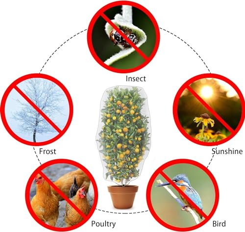 Alpurple 2 Pcs Insect Bird Barrier Netting Mesh with Drawstring- 4.9 x 3.2 Ft Garden Bug Netting Plant Cover- Fruit Tree Net for Protect Plant Fruits Citrus Flower from Insect Bird Eating - color: 2 Pcs, size: 4.9x3.2 ft