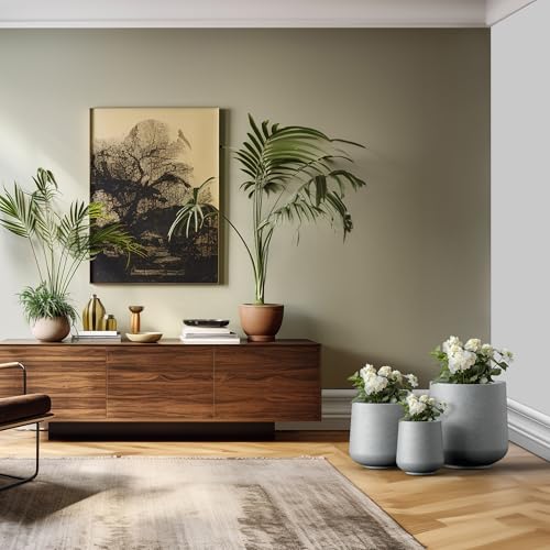 Kante Set of 3 Pale Gray Concrete Curved Round Planters for Modern Home - color: Gray Concrete, size: Set of 3: 15.3" + 11.6" + 8.2" D