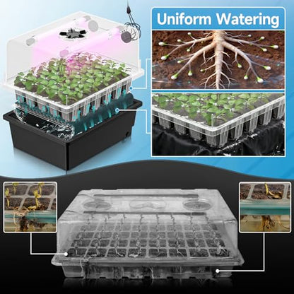 Hon&Guan 2-Pack 30-Cell Seed Starting Kits with Heat Mats and LED Lights - size: 2 Pack