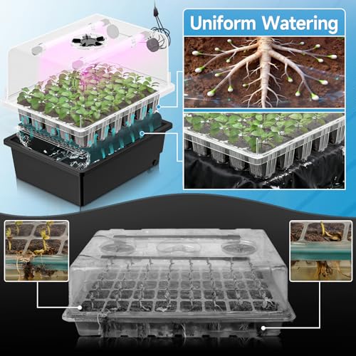 Hon&Guan 2-Pack 30-Cell Seed Starting Kits with Heat Mats and LED Lights - size: 2 Pack