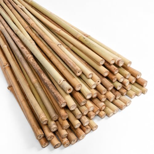 Natural Bamboo Poles, 2 Feet Bamboo Sticks for Plants, Wood Garden Stakes for Tomato, Bean, Flowers, Trees Potted and Climbing Plants, 75 Pack - size: 2FT-75PCS