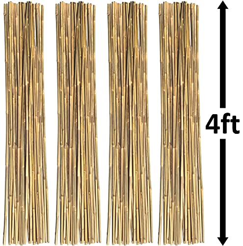 Natural Bamboo Poles, Eco-Friendly Plant Support Garden Stakes 4ft Long, Diameter of 3/8Inch (100-Count) - size: 4 ft, 3/8" Diameter (100-Count)