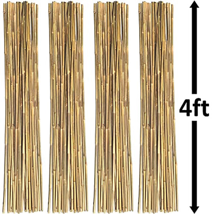 Natural Bamboo Poles, Eco-Friendly Plant Support Garden Stakes 4ft Long, Diameter of 3/8Inch (100-Count) - size: 4 ft, 3/8" Diameter (100-Count)