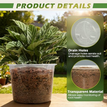 10 Inch Large Size Clear Nursery Pots with Drainage Holes, 5 Packs Plastic Pots for Plants, Transparency Durable Seedling Starter Pot for Succulents Flowers Herb Vegetables - size: 10 Inch-5PCS