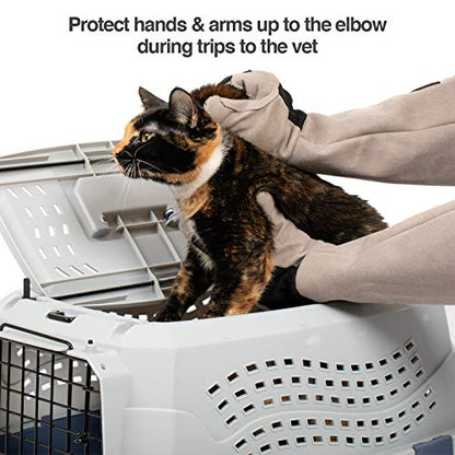 PetFusion Pet Grooming Gloves, Hair Removal and Bathing, Scratch Resistant - size: Large