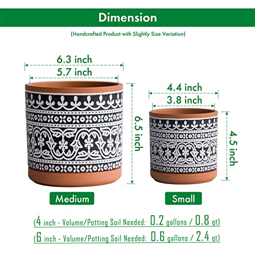 D'vine Dev 2-Pack Terracotta Pots, 4/6 in, Terra/Black, 31-958-F-2 - color: Terracotta/Black